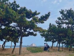 -海岛日记(养马岛店)