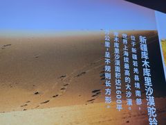-西域胡氏大盘鸡(谈固店)