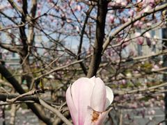 -维吾尔餐厅(宜山路店)