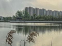 -八大山人梅湖景区