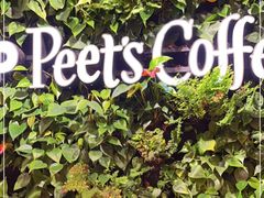 -Peet's Coffee皮爷咖啡(新天地黑标店)