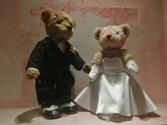 -济州岛泰迪熊博物馆