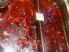 -川西坝子火锅(清江东路3.0直营店)