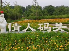 -东郊湿地公园