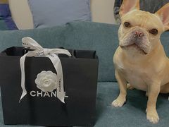 -CHANEL(ifs国际金融店)