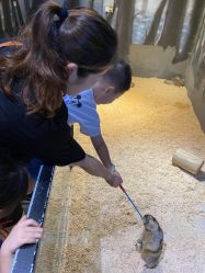 -酷嗒动物文化乐园(cutezoo西溪乐天城店)