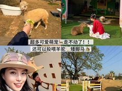 -盈香心动乐园