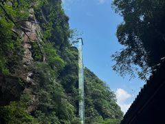 -碧峰峡风景区