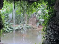 -郑州植物园