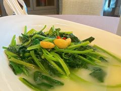 -海口万豪中餐厅·粤菜·海南菜· 平价海鲜·茶点· KTV包房