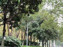 -后襄河公园