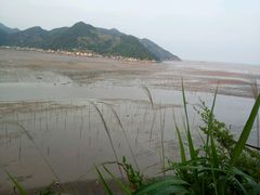 -北岐滩涂