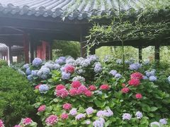 -威海华夏城景区