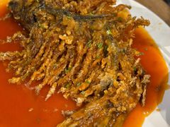 -直隶安家牛肉罩饼(新石店)