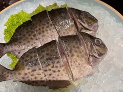 -雾山韩式烤肉·海南糟粕&椰子鸡火锅·海景餐厅(三亚绿发山海天JW万豪酒店)