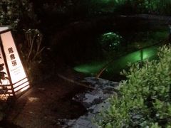 -杭州第一世界大酒店·云曼温泉