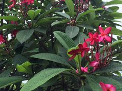 -厦门日月谷温泉渡假村