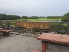 -沙美村