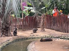 -呀路古热带植物园