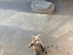 -济南野生动物世界