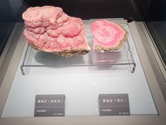 -安徽省地质博物馆