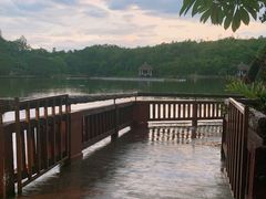 -清迈夜间动物园