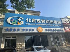 -北京观赏动物医院·24小时大型综合·猫专科·异宠专科