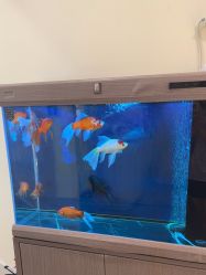 -海涛医疗美容·面部抗衰·注射美鼻