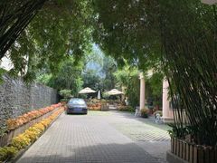 -老洋房花园饭店(绍兴路店)