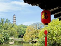 -江心屿景区