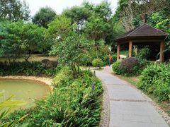 -云溪植物园