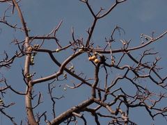 -厦门良筑精品酒店(厦门中山路店)
