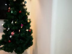 -瑞尔齿科(东方广场诊所)