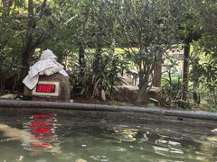 -万象温泉景区