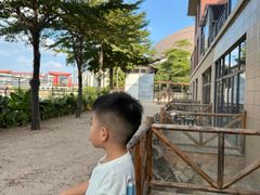 -灵玲国际马戏城