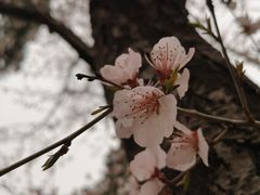 -宣武艺园