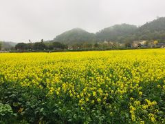 -红山村
