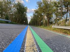 -黄海国家森林公园