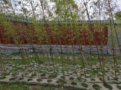 -莆田南少林寺