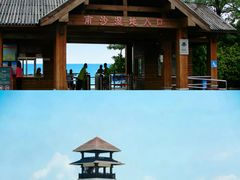 -大湾区中央湿地公园