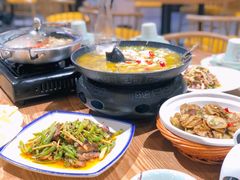 -熊猫家新派川菜(百里一·龙兴集店)