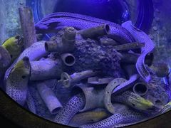 -成都浩海立方海洋公园