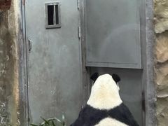 -青藏高原野生动物园