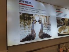 -陆记鹅庄·潮汕菜·狮头鹅(大仟里店)