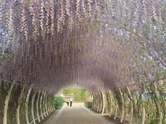 -同里国家湿地公园
