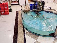 -屯靠屯地锅王(西南路店)