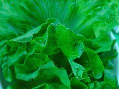 -真利味·脊骨火锅·正宗韩国料理(韩乐坊店)