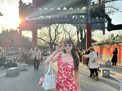 -北京国子监胡同