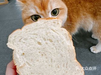 每年秋天的期盼就是这一口桂花味