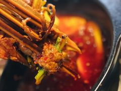 香菜牛肉-钢管厂五区小郡肝串串香(南山店)